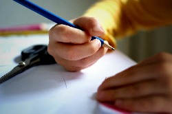 Zum Schulstart: Stundentafeln im Überblick